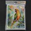 Sun Conure Greeting Cards Pack of 8 Blank Cards with Envelopes Whimsical A7 Size 5x7 Blank Note Cards