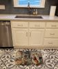 Corgi Fall Kitchen Pumpkins Memory Foam Kitchen Mat Machine Washable Anti-Fatigue Mat Cushion Comfort Bath Mat or Kitchen Rug